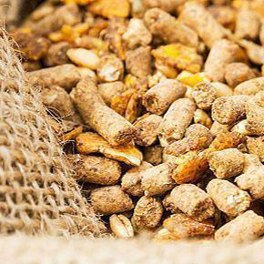 Alimentation animale 